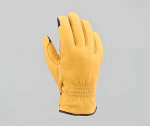 DAYTONA (fCgi) HBG-057 YDEB^[O[u L MTCY 17580