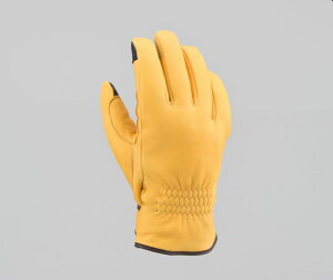 DAYTONA (fCgi) HBG-057 YDEB^[O[u L XLTCY 17582