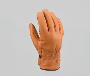 DAYTONA (fCgi) HBG-057 YDEB^[O[u `FXibg LTCY 17584