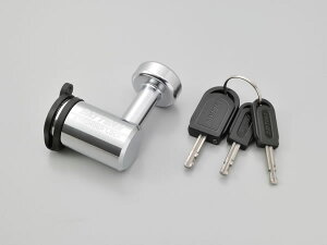 DAYTONA (fCgi) fBXNbN 31255