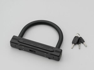 DAYTONA (fCgi) XgK[UbN W154×H120mm 32696