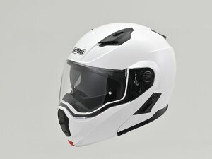 DAYTONA (fCgi) DN-004LT tbvAbvVXettFCXwbg zCg L 46539