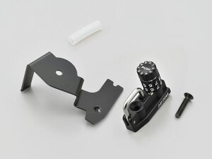 DAYTONA (fCgi) _Cwbgz_[ Rebel1100 48698