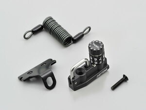 DAYTONA (fCgi) _Cwbgz_[ ~[M10Nv^Cv 49171