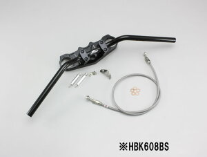 nP[ o[nhkit ubN(tXeXu[Lz[X) ZZR1400 ABS HBK608BS