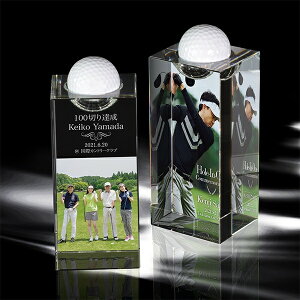 【全品10倍!】ポイントup中-ゴルフコンペトロフィー チアーズ AL-503 | 優勝トロフィー カップ コンペ 景品 表彰 ゴルフ 記念 サッカー 野球 テニス メダル 水泳 卓球 バドミントン バレー カラ