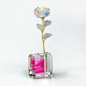 ySi10{Iz|Cgup-ԃgtB[iԃgj AL-903 | gtB[ NX^ D KX oXP TbJ[ 싅 St X|[c \   c LOi ii Ry MVP  