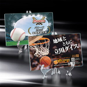 ySi10{Iz|Cgup-X|[cpbg SK-AL-009-sports | gtB[ NX^ D KX oXP TbJ[ 싅 St X|[c \   c LOi ii Ry MVP  