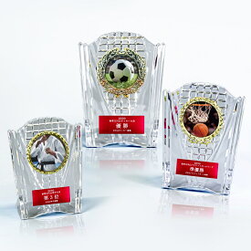 【全品10倍！】ポイントup中-スポーツアワード AL-707-sports | トロフィー クリスタル 優勝 ガラス バスケ サッカー 野球 ゴルフ スポーツ 表彰 名入れ 卒業 卒団 記念品 景品 コンペ MVP 高級 おしゃれ キレイ モダン