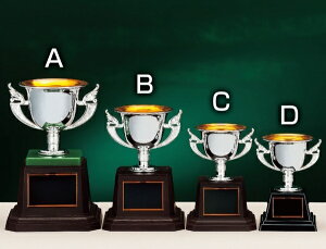 ySi10{Iz|Cgup-DJbv SY-CP-191 A (C-3) | DgtB[ Jbv Ry ii \ St LO TbJ[ 싅 ejX _ j 싅 oh~g o[ JIP _X J