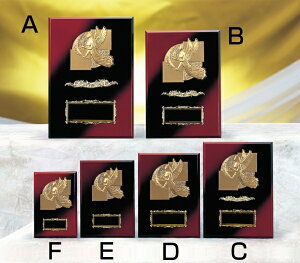 ySi10{Iz|Cgup-\| SY-K-5009 B (H-5) | gtB[ NX^ D KX oXP TbJ[ 싅 St X|[c \   c LOi ii Ry MVP   L