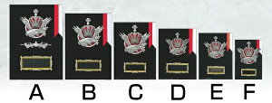 ySi10{Iz|Cgup-\| SY-K-5020 A (H-6) | gtB[ NX^ D KX oXP TbJ[ 싅 St X|[c \   c LOi ii Ry MVP   L