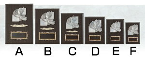 ySi10{Iz|Cgup-\| SY-K-5021 C (H-5) | gtB[ NX^ D KX oXP TbJ[ 싅 St X|[c \   c LOi ii Ry MVP   L