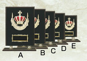 ySi10{Iz|Cgup-\| SY-K-5029 D (H-3) | gtB[ NX^ D KX oXP TbJ[ 싅 St X|[c \   c LOi ii Ry MVP   L