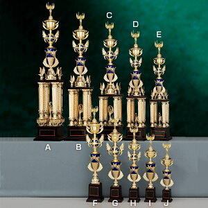 ySi10{Iz|Cgup-gtB[ SY-T-1007 - FTCYiB-2j | DgtB[ Jbv Ry ii \ St LO TbJ[ 싅 ejX _ j 싅 oh~g o[ J