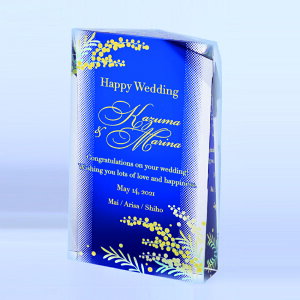 ySi10{Iz|Cgup-I[_[\| W-AK-1690 B | gtB[ NX^ D KX oXP TbJ[ 싅 St X|[c \   c LOi ii Ry MVP  