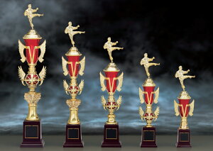 ySi10{Iz|Cgup-gtB[ SY-T-1912 - BTCYiB-1j | DgtB[ Jbv Ry ii \ St LO TbJ[ 싅 ejX _ j 싅 oh~g o[ J