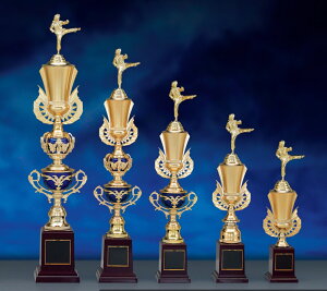 ySi10{Iz|Cgup-gtB[ SY-T-1914 - ATCYiB-2j | DgtB[ Jbv Ry ii \ St LO TbJ[ 싅 ejX _ j 싅 oh~g o[ J