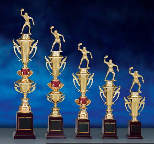 ySi10{Iz|Cgup-gtB[ SY-T-1916 - BTCYiB-1j | DgtB[ Jbv Ry ii \ St LO TbJ[ 싅 ejX _ j 싅 oh~g o[ J