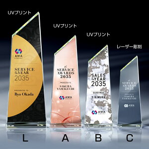 ySi10{Iz|Cgup-VEX AL-023 | gtB[ NX^ D KX oXP TbJ[ 싅 St X|[c \   c LOi ii Ry MVP   LC 