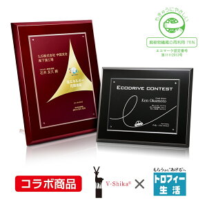 ySi10{Iz|Cgup-GRt[iGRtj M-VOP.760 | gtB[ NX^ D KX oXP TbJ[ 싅 St X|[c \   c LOi ii Ry MVP 
