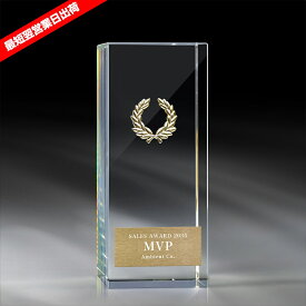 【全品10倍！】ポイントup中-【最短翌営業日出荷】クリスタルトロフィー AL-P705（T-06＋R-Laurel3） | トロフィー クリスタル 短納期 優勝 ガラス スポーツ 表彰 名入れ 卒業 卒団 記念品 景品 ゴルフ コンペ MVP 高級 おしゃれ キレイ