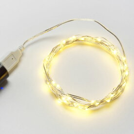 室内用 LED イルミネーション ライト 3m 40球 極細ストレートタイプ USB給電式 「ASH-UC40L」『AD&C TORONIC』 カラー：全4色　消費税込　ネコポス送料込