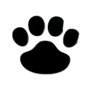 XebJ[   4Zbg  oCN S  킢 Ԃɓ\ V[ tB   ԗp  L V[  3D ybg fJ[ fR[V |C