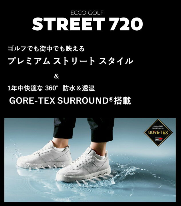 楽天市場】エコーゴルフ ECCO GOLF 日本正規品 メンズ シューズ ゴルフ 