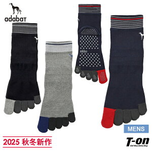 A_obg adabat Y \bNX 5{wnV[g\bNX 2025 H~ V St