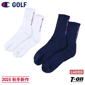 `sI `sI St Champion {Ki fB[X \bNX M[\bNX ꕔpCNbV AXeBbN\bNX u\bNX RۖhL SWK[h 2