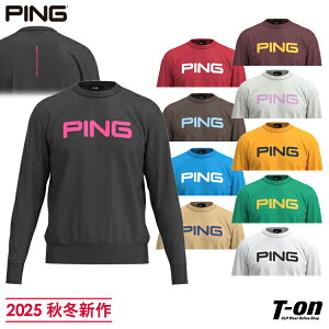 s PING Y Z[^[ N[lbNjbg 10J[ 10FWJ WK[hSfUC M`3L 2025 H~ V StEFA yz