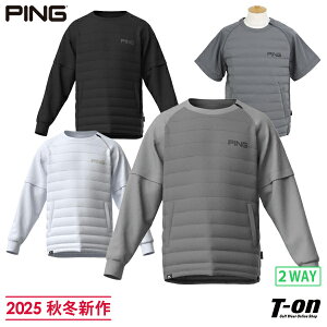 s PING Y u] N[lbN gȓ Xj[hu] ɂȂ N ܂琞܂Ńt@Xi[t M`3L܂łp yz 2025 H~ V StEFA