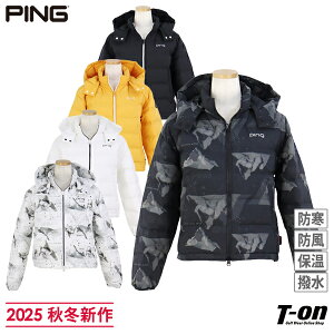 s PING fB[X u] ȓ Ot[ht  ۉ h h V[gu] n }Ee Svg yz 2025 H~ V StEFA