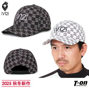 V12 St BEgDGu Y fB[X Lbv mO vg ShJ mg[fUC ~߃pbhO 2025 H~ V St yz