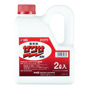 UNTt 2L  Ŕ߂ XMi IqVo IIA`mMN c lȂ MMAG