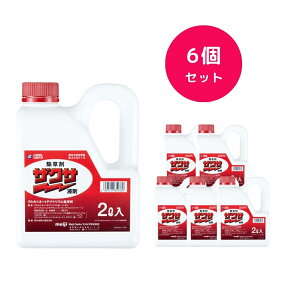 y6Zbgz UNTt 2L  Ŕ߂ XMi IqVo IIA`mMN c lȂ MMAG