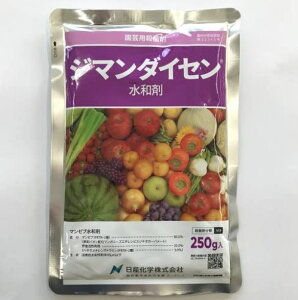 W}_CZa 250g Eۍ h ʂ˂ o C`S Tr_j n_j IVcRiW~ XbvX