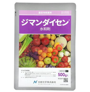 W}_CZa 500g Eۍ h ʂ˂ o C`S Tr_j n_j IVcRiW~ XbvX