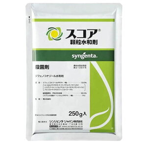 XRAa 250g Eۍ ~co` AXpKX iV ~jg}g  ~