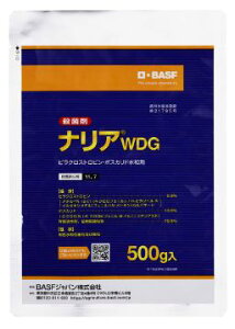 y10Zbgz iAWDG 500g ʎp Eۍ a a _ta ֖a _a ǂ񂱕a Da a