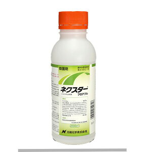 y10Zbgz lNX^[tAu 500ml  ʎp Eۍ  Ԃǂ Ȃ g}g イ ZB ωJ  Eۍ