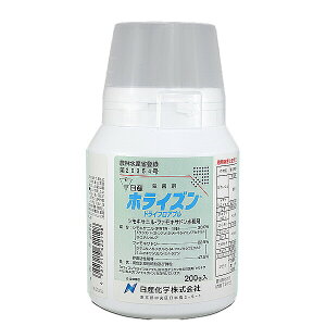 y10Zbgz zCYhCtAu 200g Eۍ ΂ꂢ g}g ~jg}g Ȃ イ  ͂ 