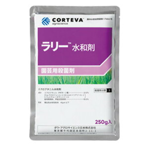 y10Zbgz [a 100g  LE  XCJ S[ YbL[j ڂ ~Z Z Eۍ