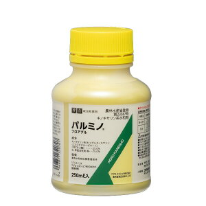 p~mtAu 250ml Eۍ ǂ񂱕a̗\h RiW~ ѕa