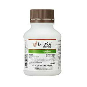 [oXtAu 250ml Eۍ ua ׂƕa sua Fsa Fua