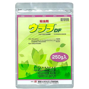 EDF 250g AuV E K[fpi ƒ؉