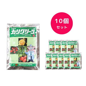 y10Zbgz JO[ 250g Eۍ ǂ񂱕a ѕa DFѕa