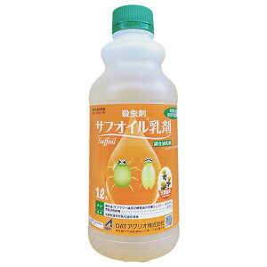 �y12�Z�b�g�z �T�t�I�C������ 1L �E���� �n�_�j �R�i�W���~ ���ǂ񂱕a �T�r�_�j