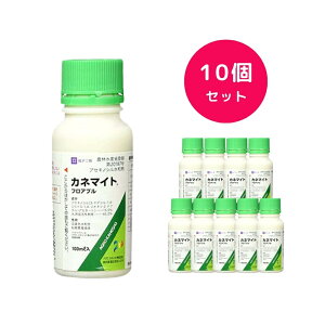 y10Zbgz Jl}CgtAu 100ml E | _j΍ _j쏜